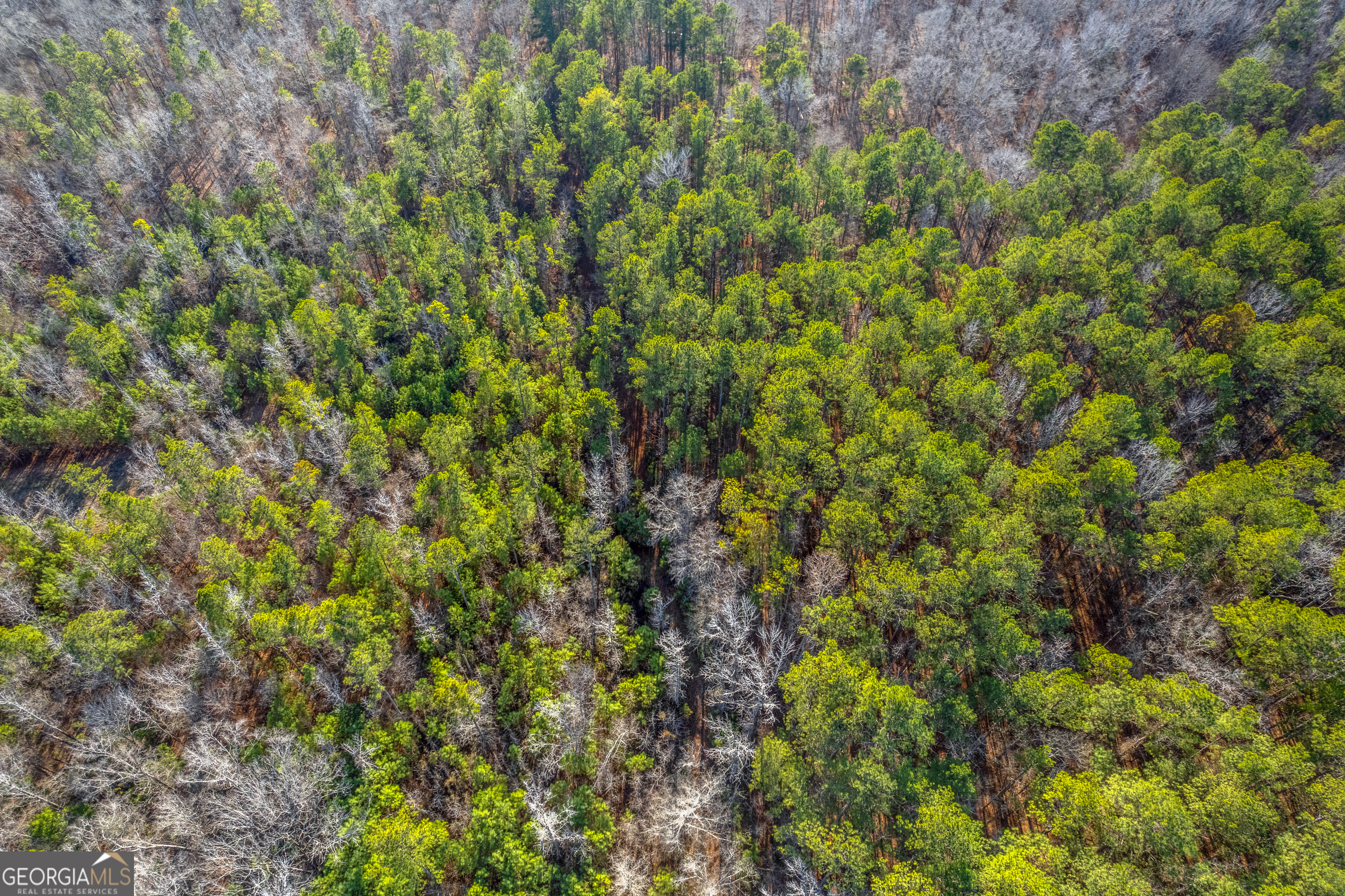 119 Sibley Road Northeast Milledgeville, GA 31061 - Photo 6 of 24