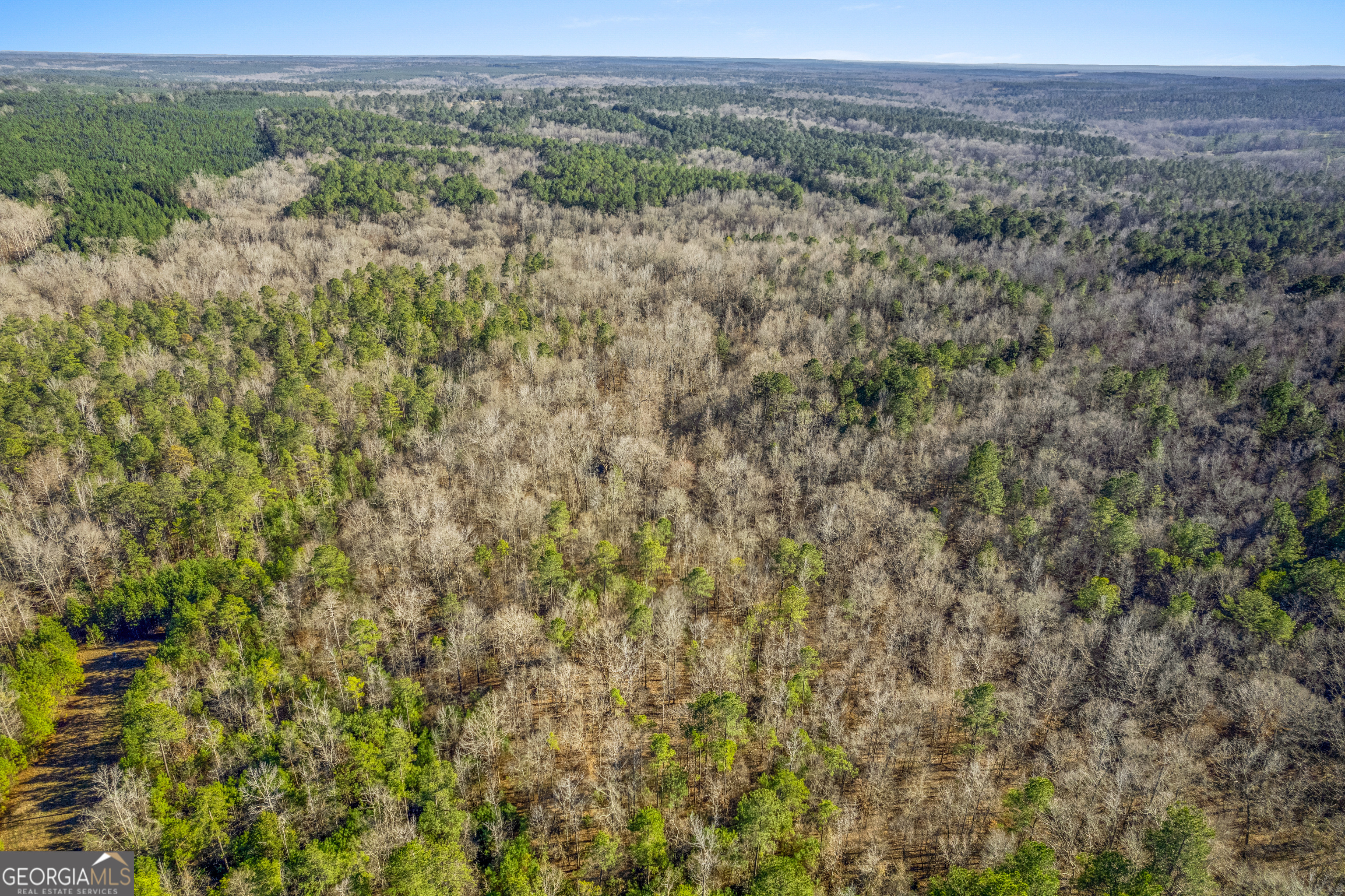 119 Sibley Road Northeast Milledgeville, GA 31061 - Photo 7 of 24