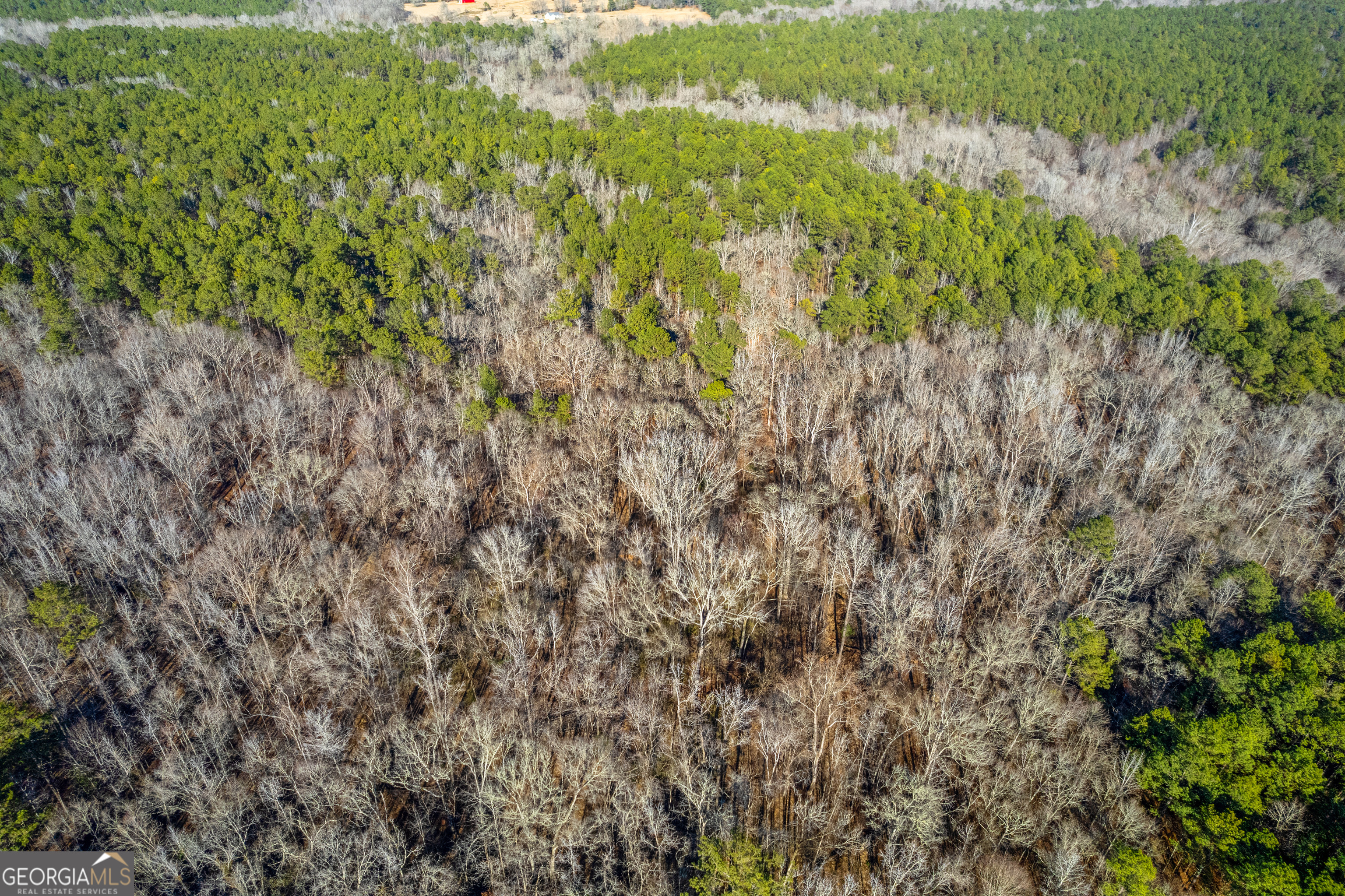 119 Sibley Road Northeast Milledgeville, GA 31061 - Photo 8 of 24