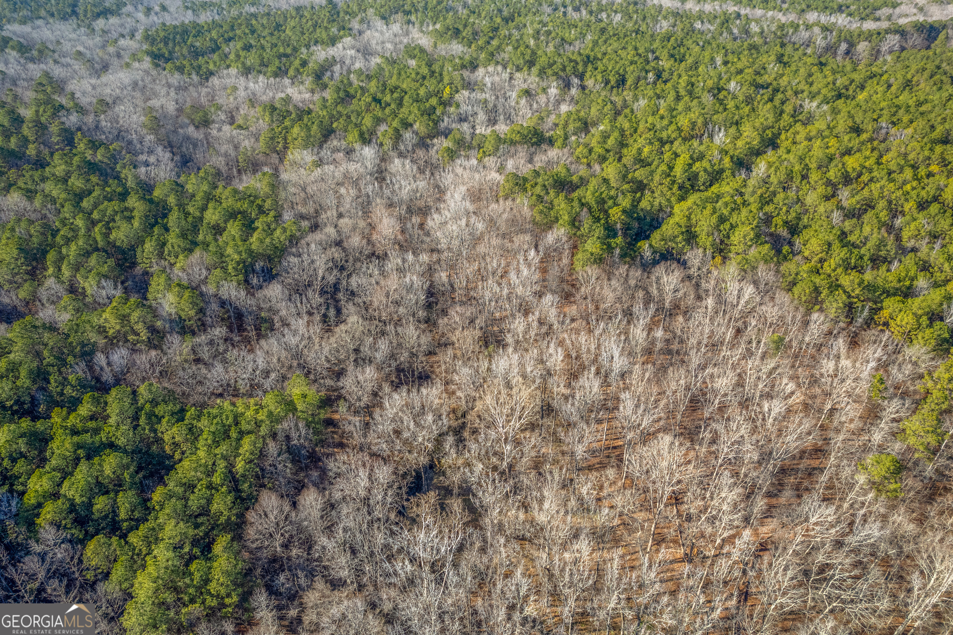 119 Sibley Road Northeast Milledgeville, GA 31061 - Photo 9 of 24