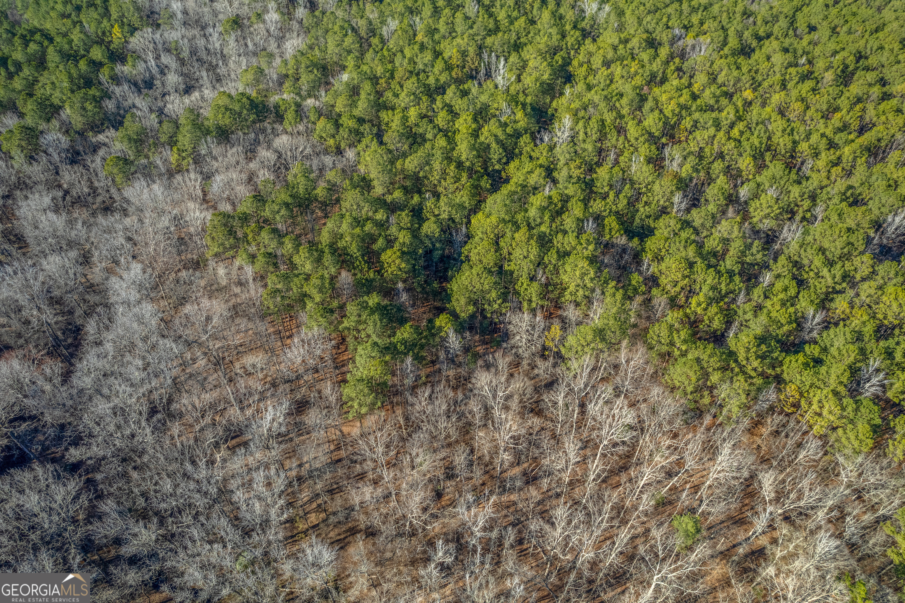 119 Sibley Road Northeast Milledgeville, GA 31061 - Photo 10 of 24