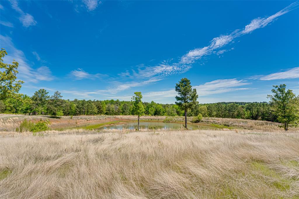 11088 County Road 334 Tyler, TX 75708 - Photo 7 of 23 a view of a terrace