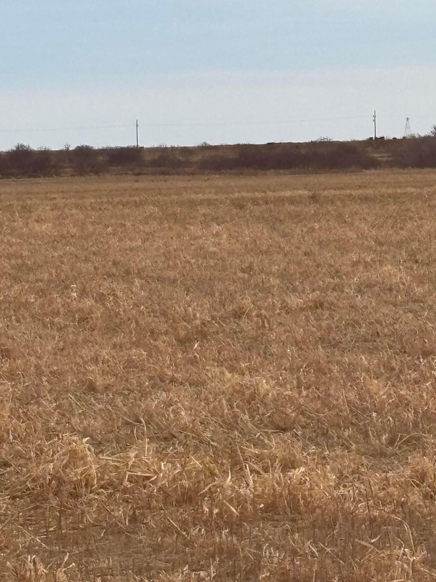 10 County Road West Childress, TX 79201 - Photo 11 of 19 a view of ocean and mountains