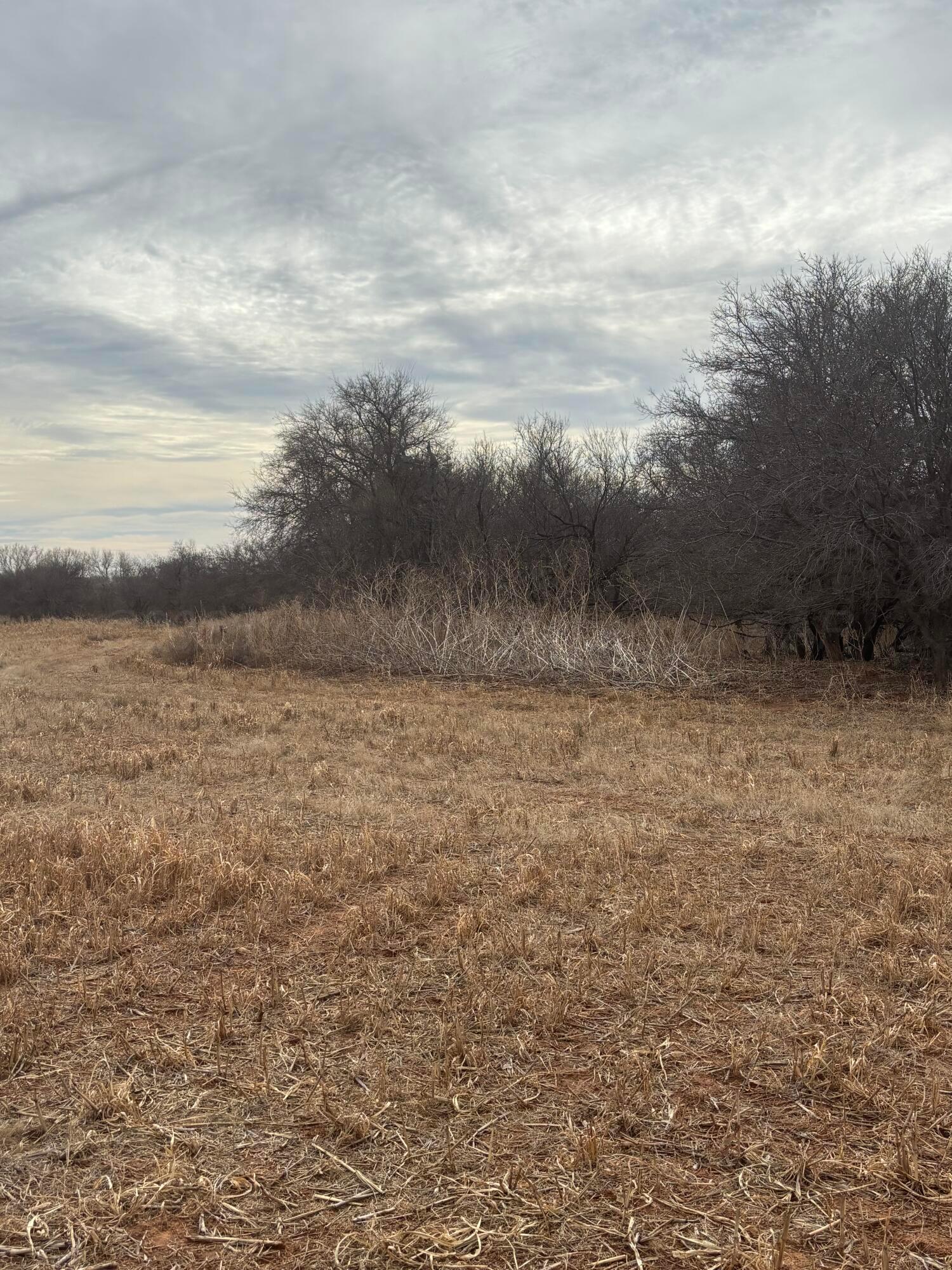 10 County Road West Childress, TX 79201 - Photo 15 of 19 a view of a lake view