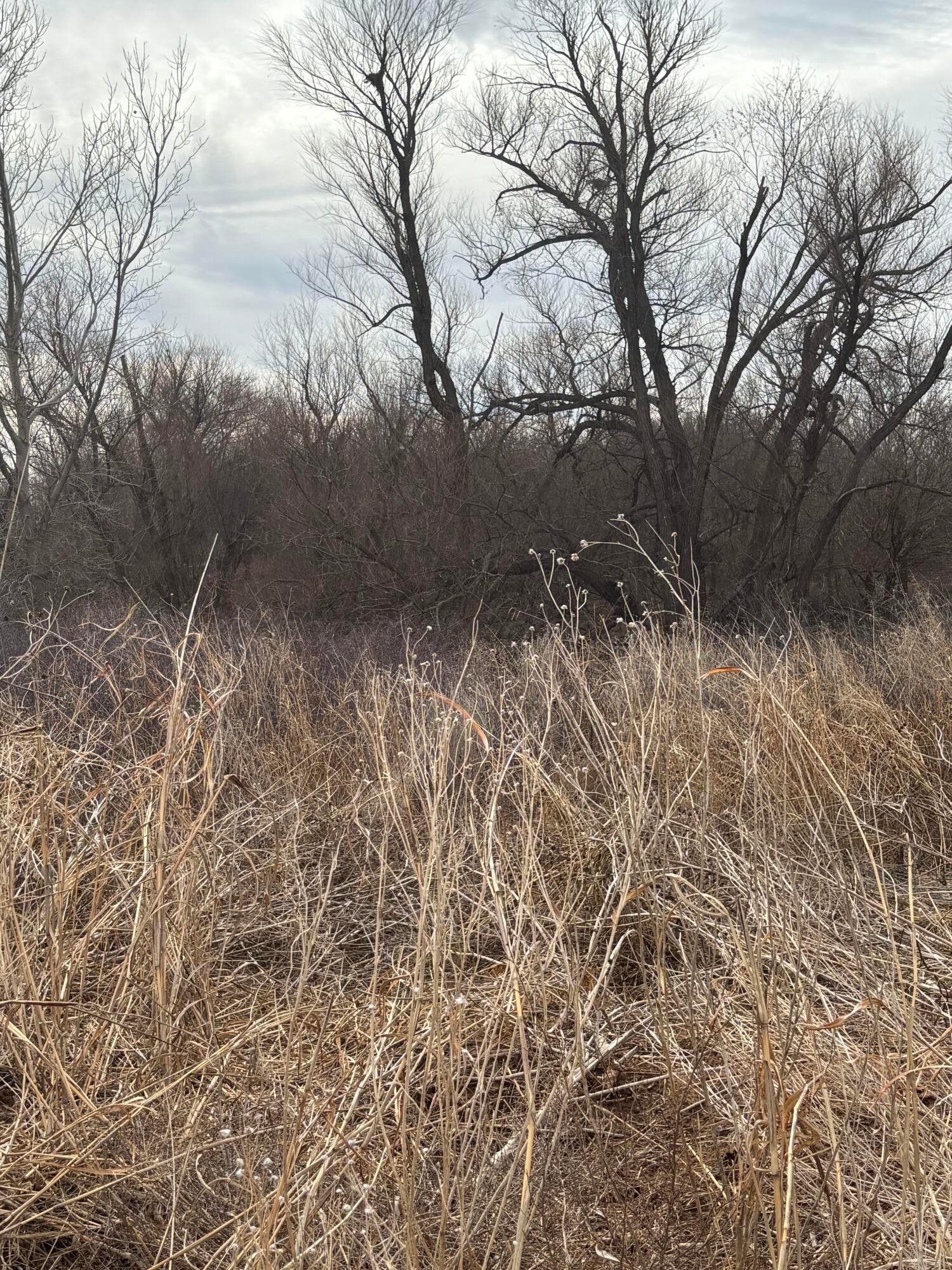 10 County Road West Childress, TX 79201 - Photo 16 of 19 a view of a yard