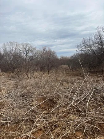 $483,000 | 10 County Road West, Childress, TX 79201