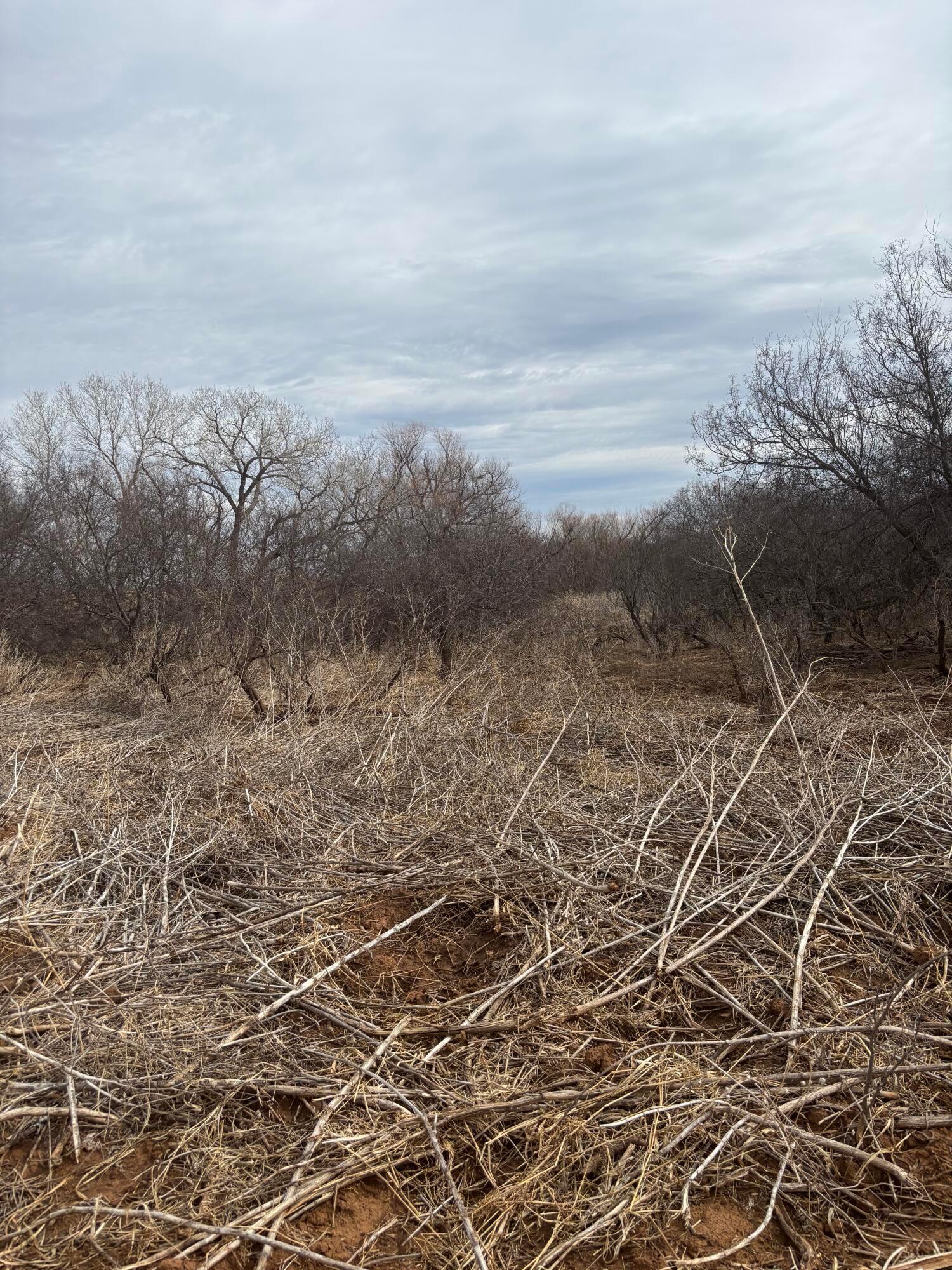 10 County Road West Childress, TX 79201 - Photo 17 of 19 a view of a dry yard with wooden floor and fence