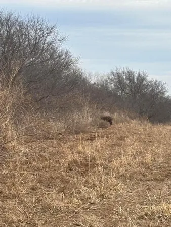 $483,000 | 10 County Road West, Childress, TX 79201