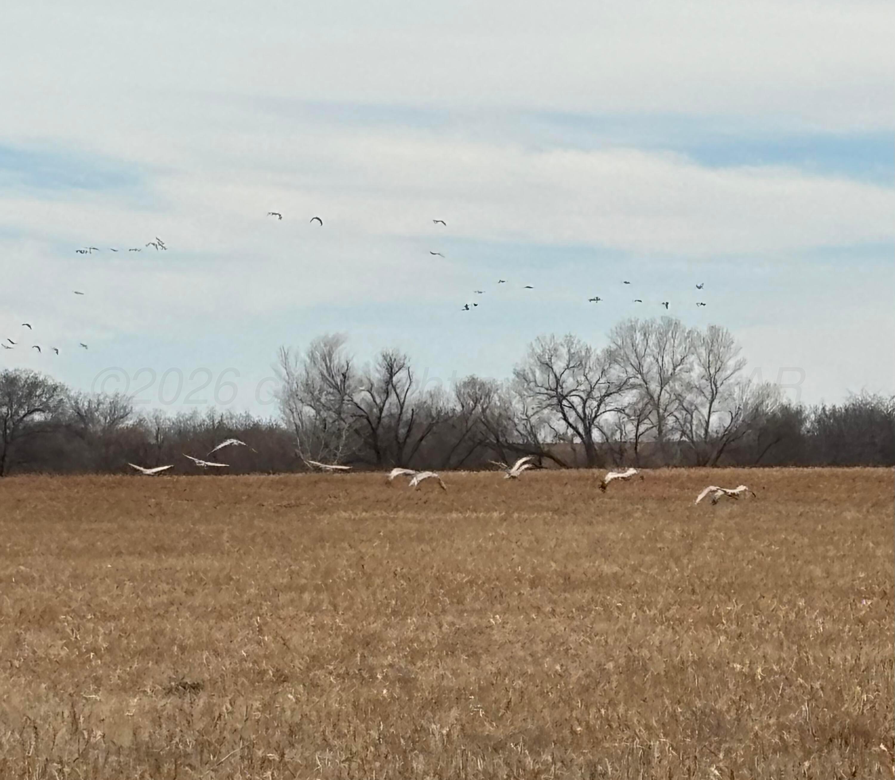 10 County Road West Childress, TX 79201 - Photo 2 of 19