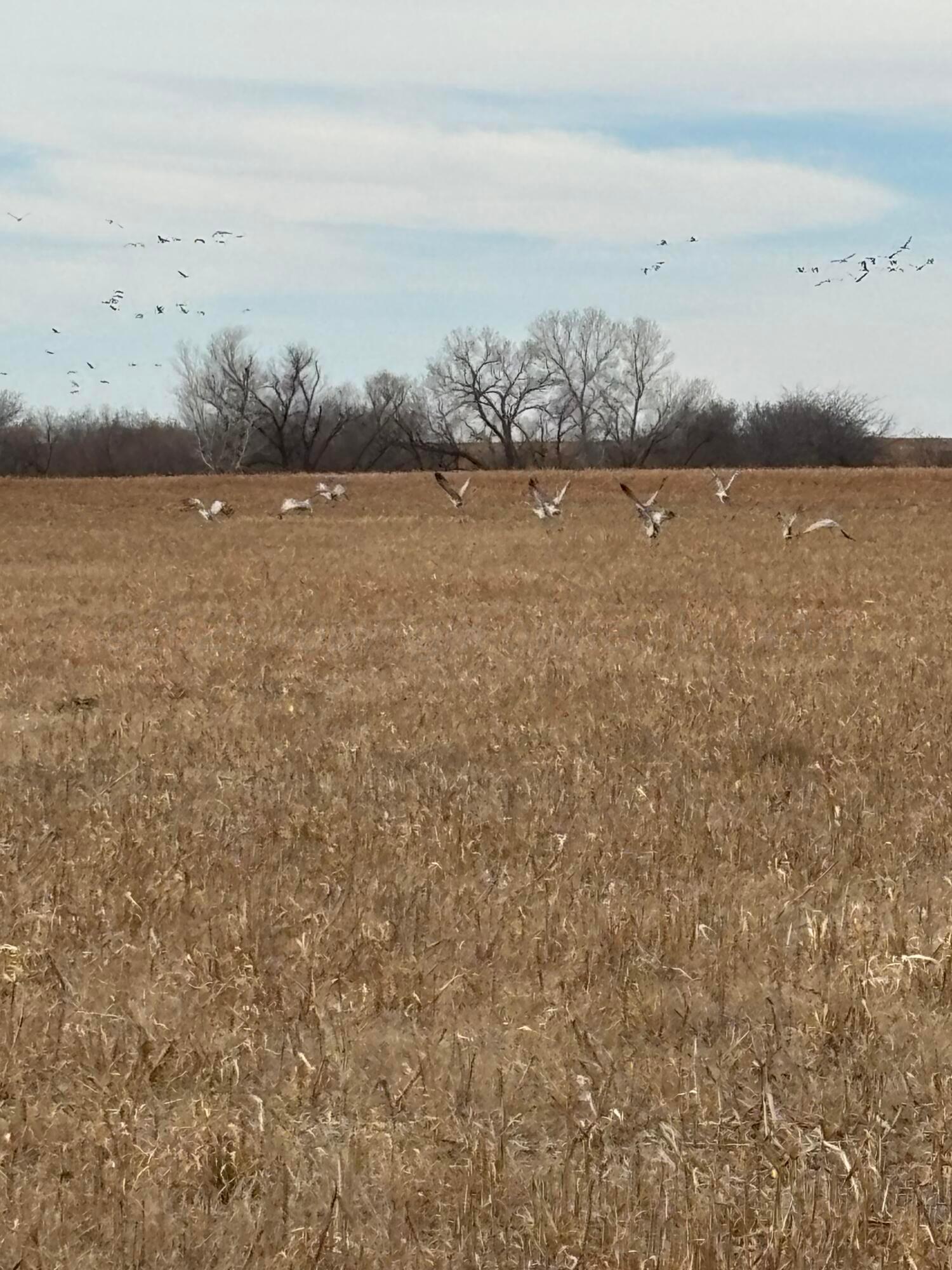 10 County Road West Childress, TX 79201 - Photo 4 of 19 a view of a lake view