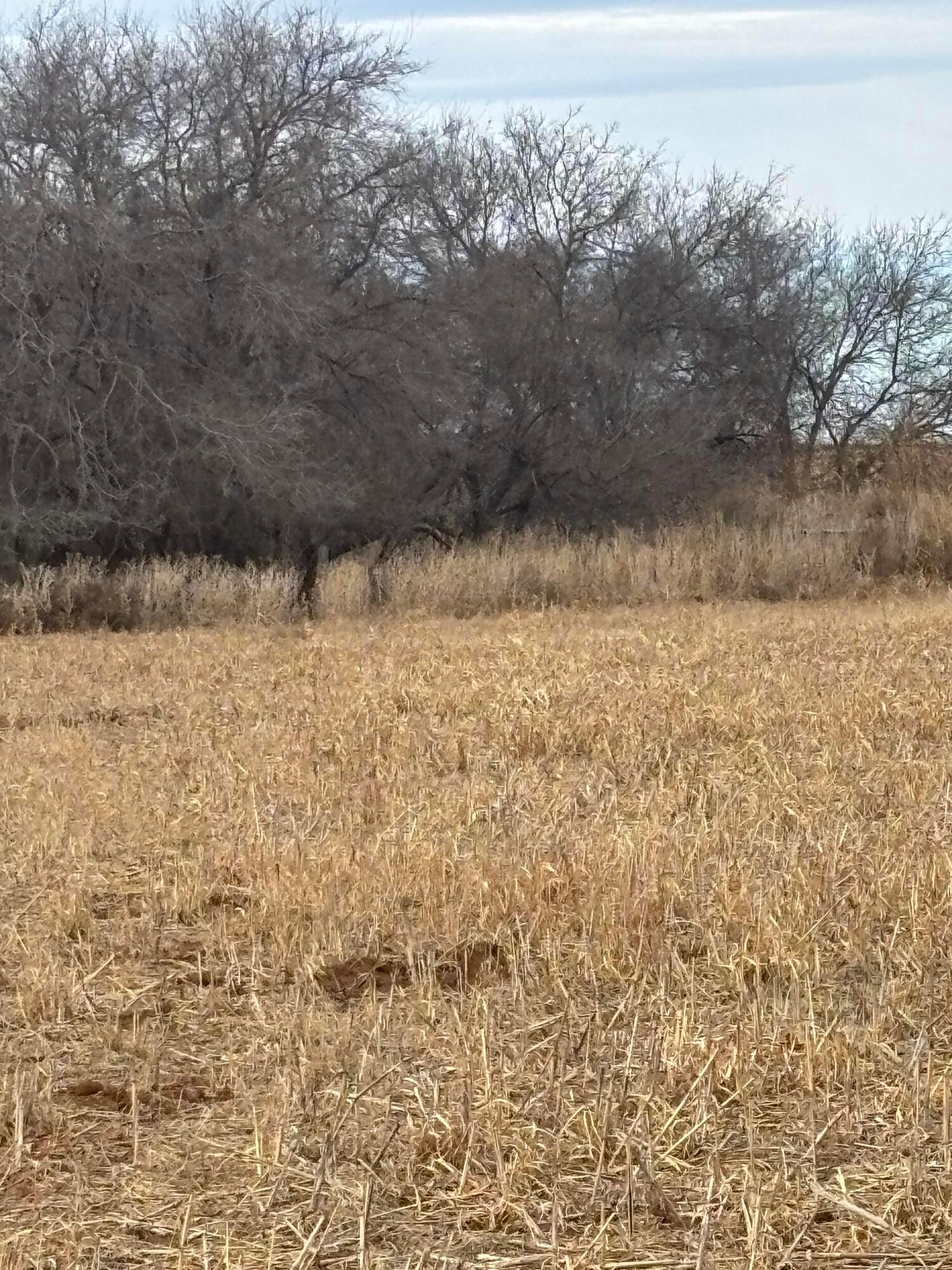 10 County Road West Childress, TX 79201 - Photo 6 of 19