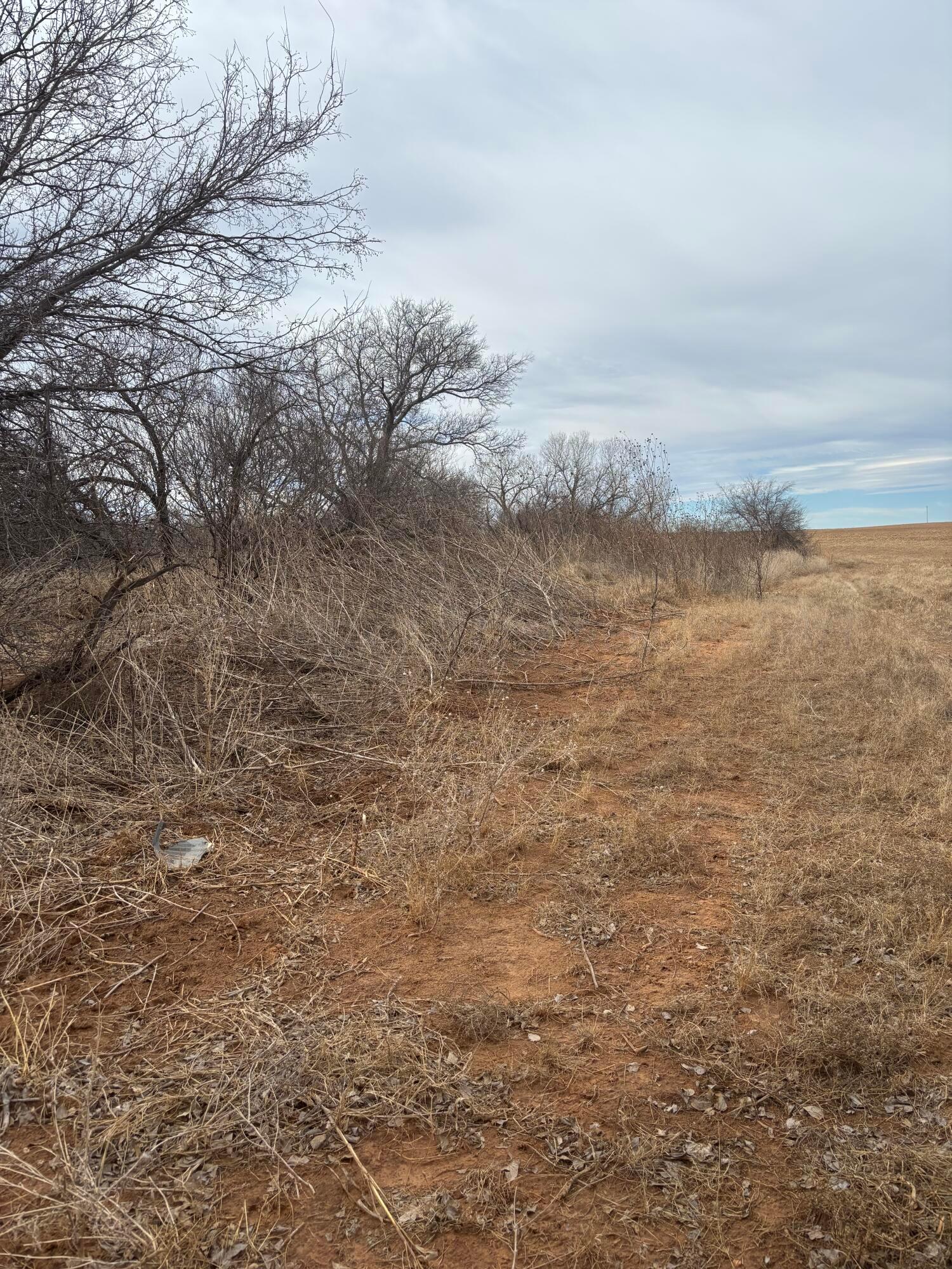 10 County Road West Childress, TX 79201 - Photo 7 of 19 a view of lake view with beach