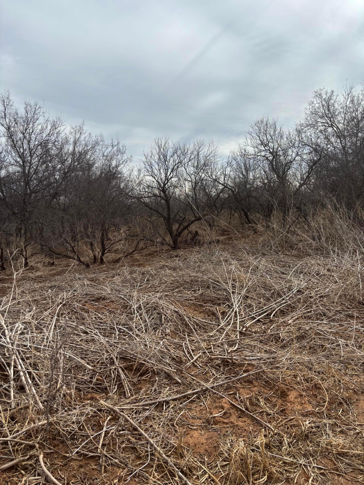 10 County Road West Childress, TX 79201 - Photo 8 of 19 a view of a yard