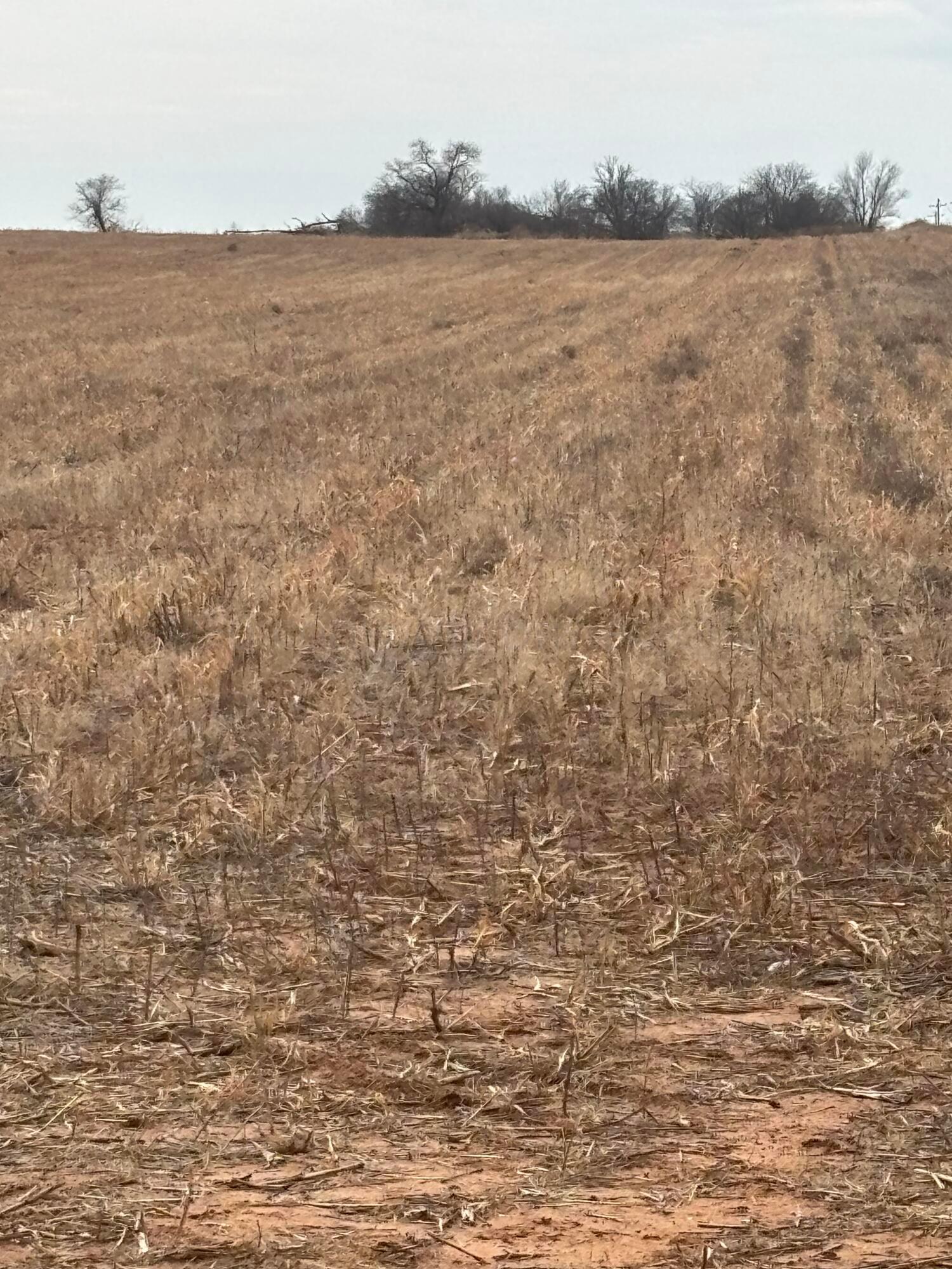 10 County Road West Childress, TX 79201 - Photo 9 of 19 a view of lake