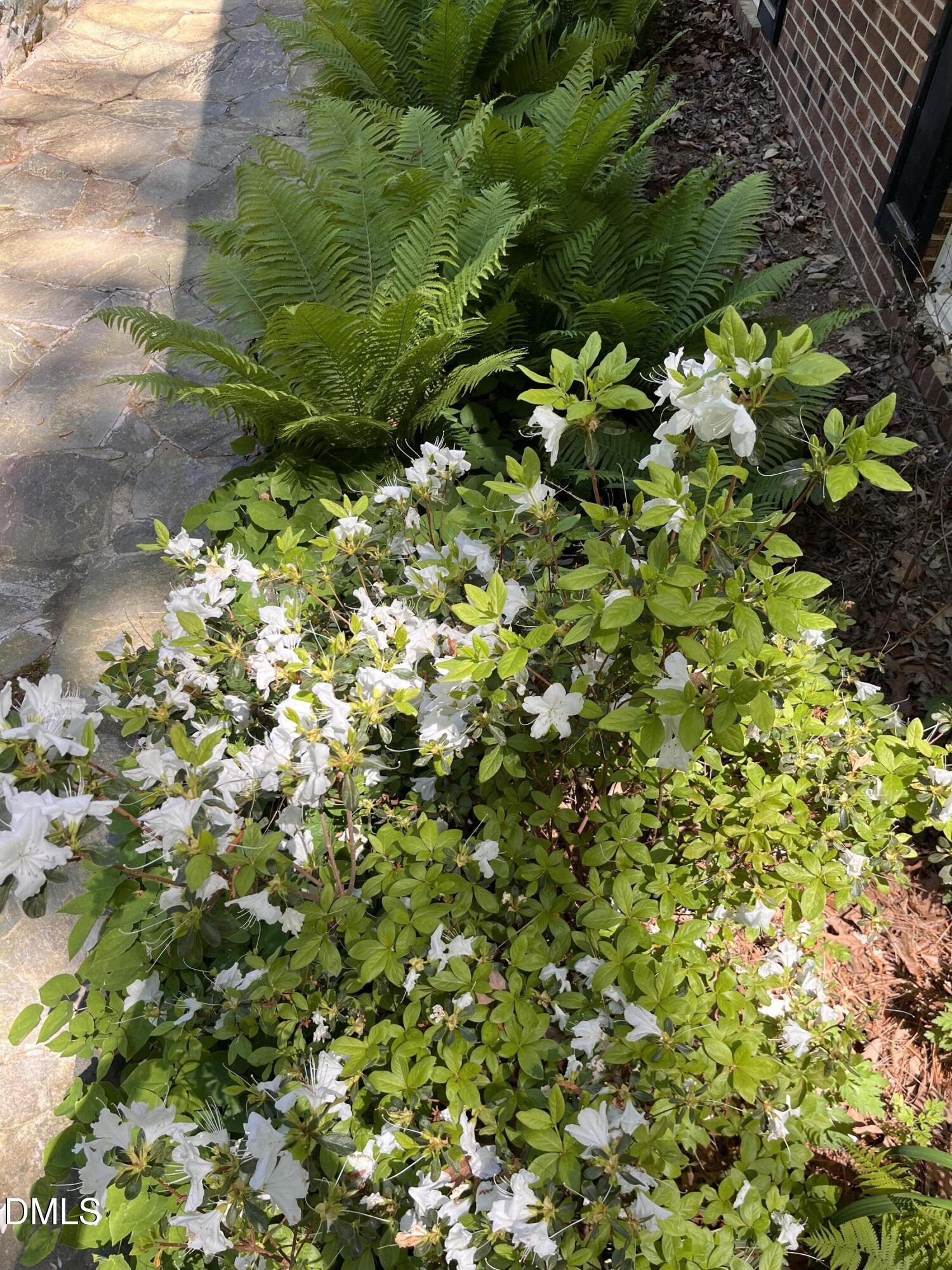 403 Brandywine Road Chapel Hill, NC 27516 - Photo 10 of 53 IMG_9335