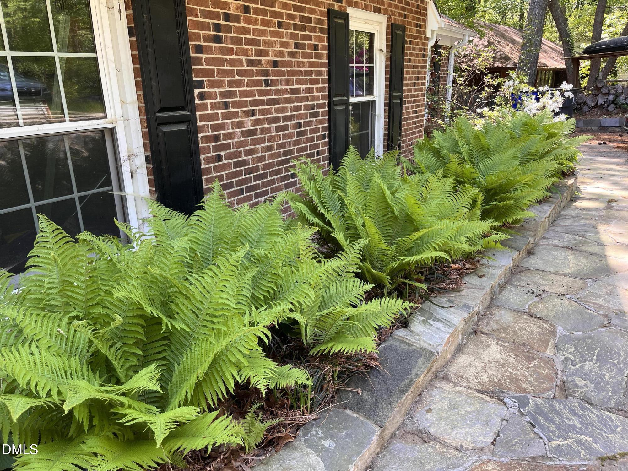 403 Brandywine Road Chapel Hill, NC 27516 - Photo 3 of 53 IMG_9336