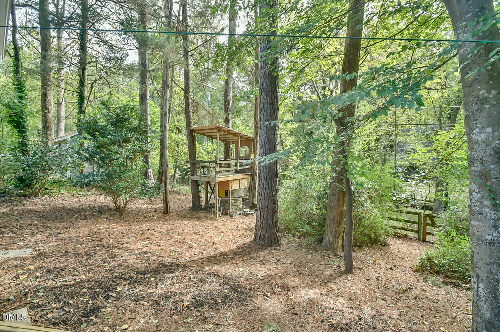 403 Brandywine Road Chapel Hill, NC 27516 - Photo 48 of 53 Back yard
