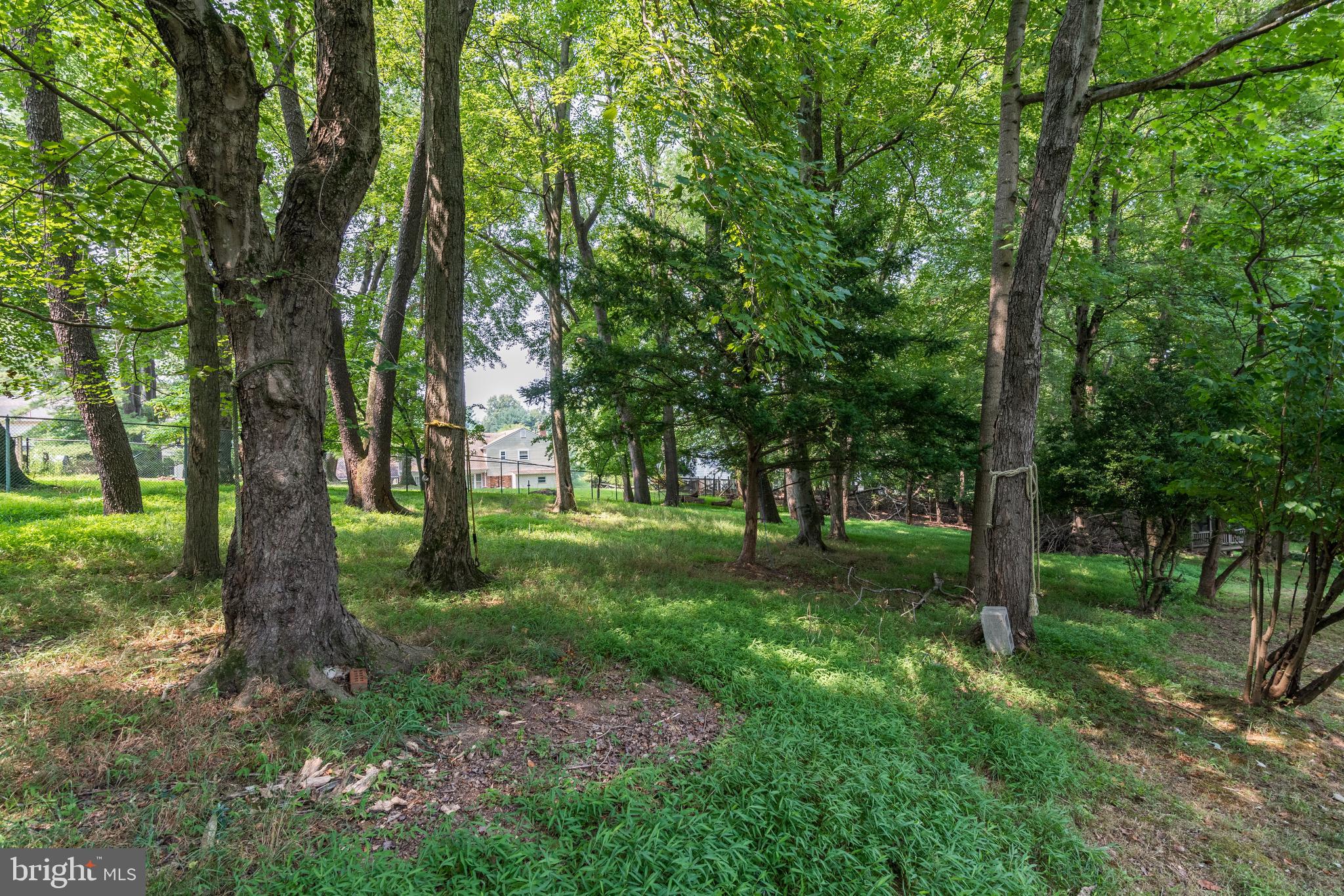 408 Beaumont Road Silver Spring, MD 20904 - Photo 53 of 57 Rear Exterior Paradise