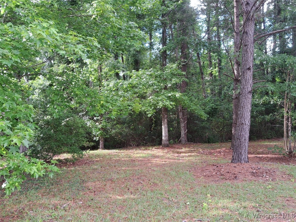 221 Old Owassa Road Evergreen, AL 36401 - Photo 3 of 35 Gallery Image 3