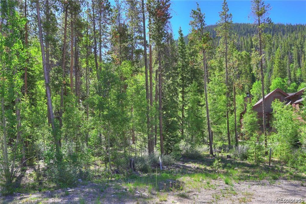 82 Wolf Rock Road Keystone, CO 80435 - Photo 18 of 26 a view of a forest with trees