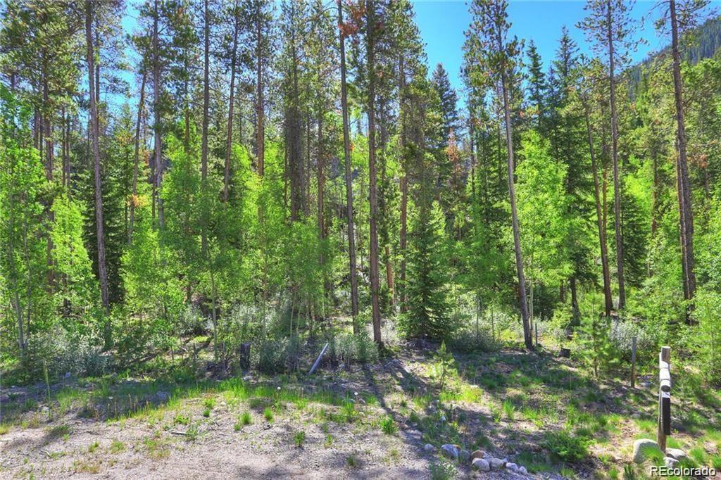 82 Wolf Rock Road Keystone, CO 80435 - Photo 20 of 26 a backyard of a house with lots of green space