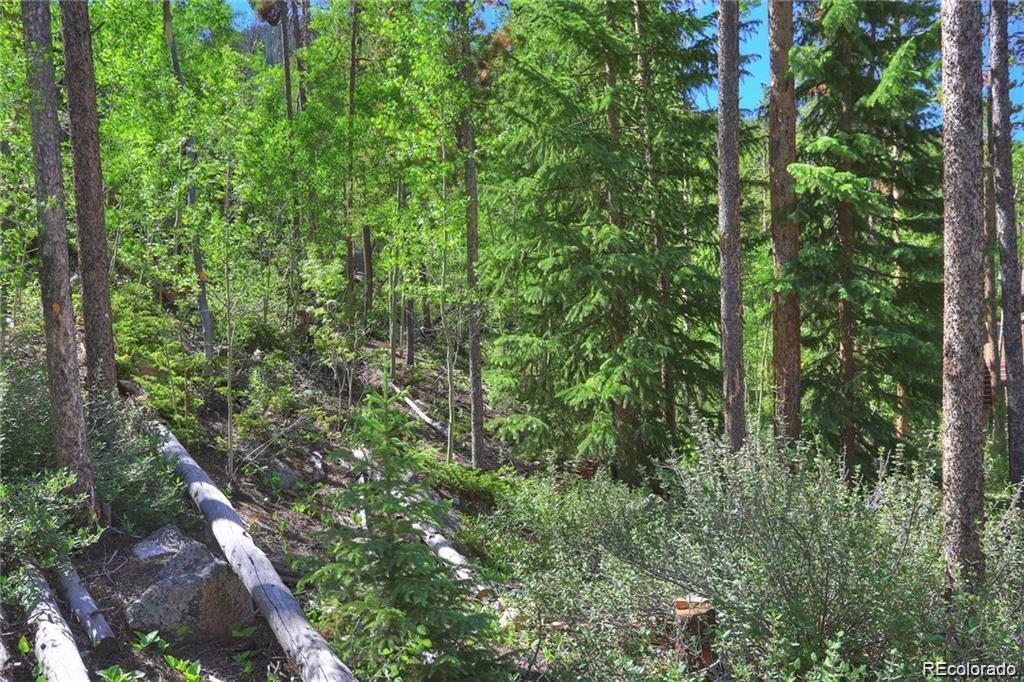 82 Wolf Rock Road Keystone, CO 80435 - Photo 25 of 26 a backyard of a house with lots of trees