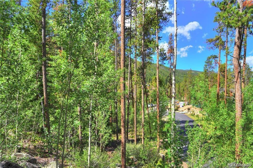 82 Wolf Rock Road Keystone, CO 80435 - Photo 26 of 26 a view of a garden