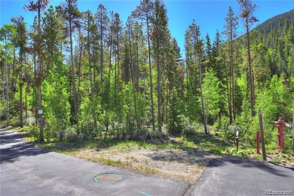 82 Wolf Rock Road Keystone, CO 80435 - Photo 4 of 26 a view of backyard space and trees