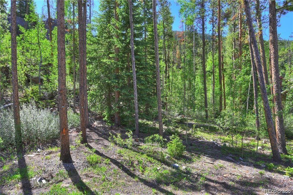 82 Wolf Rock Road Keystone, CO 80435 - Photo 5 of 26 a view of outdoor space and trees all around