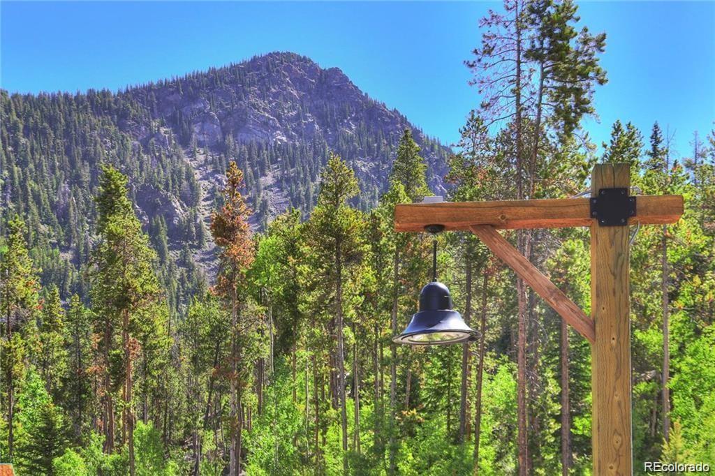 82 Wolf Rock Road Keystone, CO 80435 - Photo 6 of 26 a backyard of a house with lots of green space