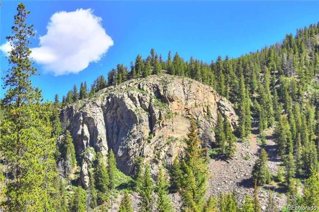 82 Wolf Rock Road Keystone, CO 80435 - Photo 7 of 26 a view of a plant in a garden