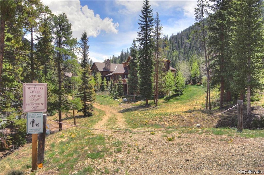 82 Wolf Rock Road Keystone, CO 80435 - Photo 8 of 26 a view of a yard with plants and trees