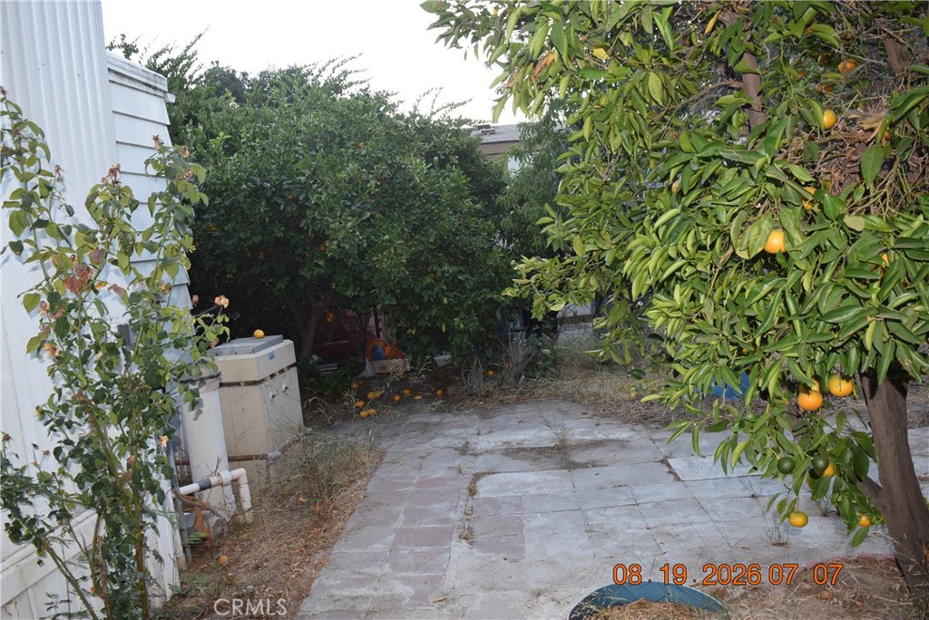 23500 The Old Road, Unit 9 Newhall, CA 91321 - Photo 52 of 56 Back patio.