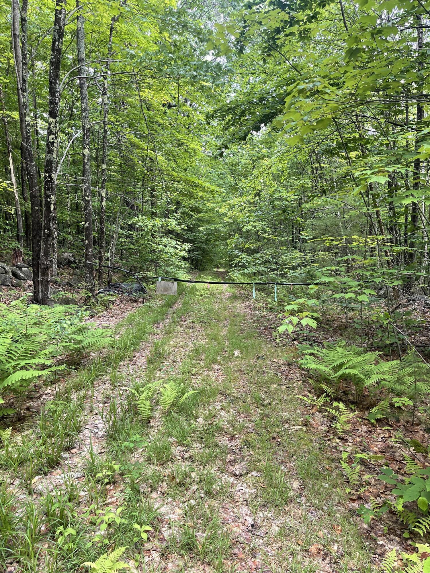 0 Ross Corner Road Shapleigh, ME 04076 - Photo 3 of 6 IMG_3935
