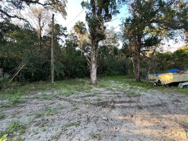 a view of a backyard with large trees