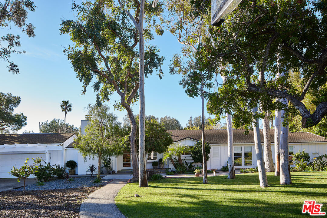 a view of a park with large trees