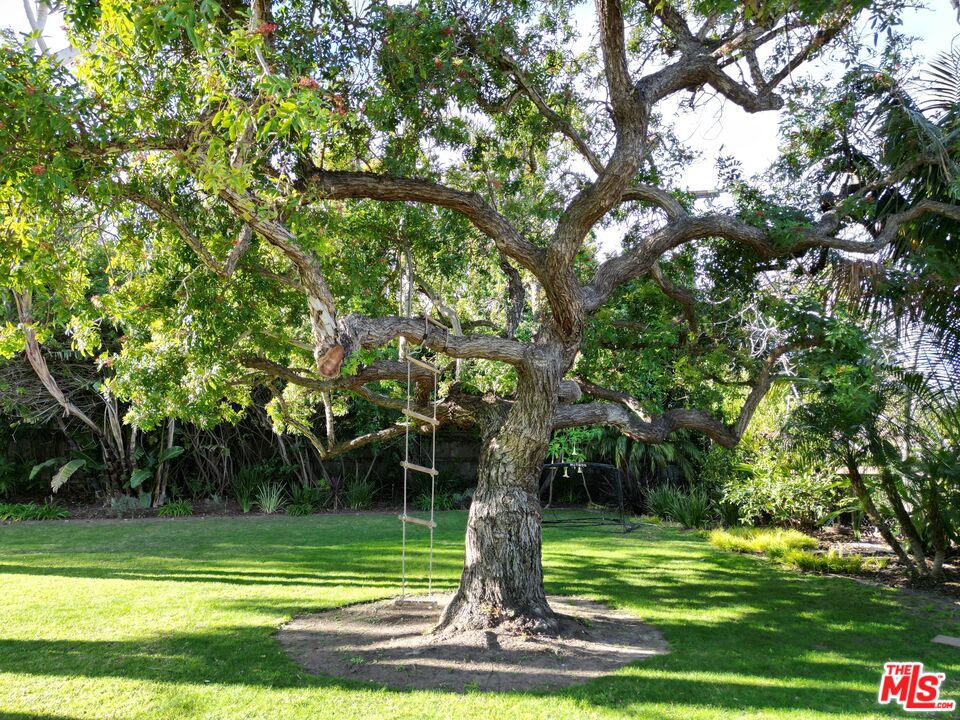 6637 Zumirez Drive Malibu, CA 90265 - Photo 26 of 29 a view of a park