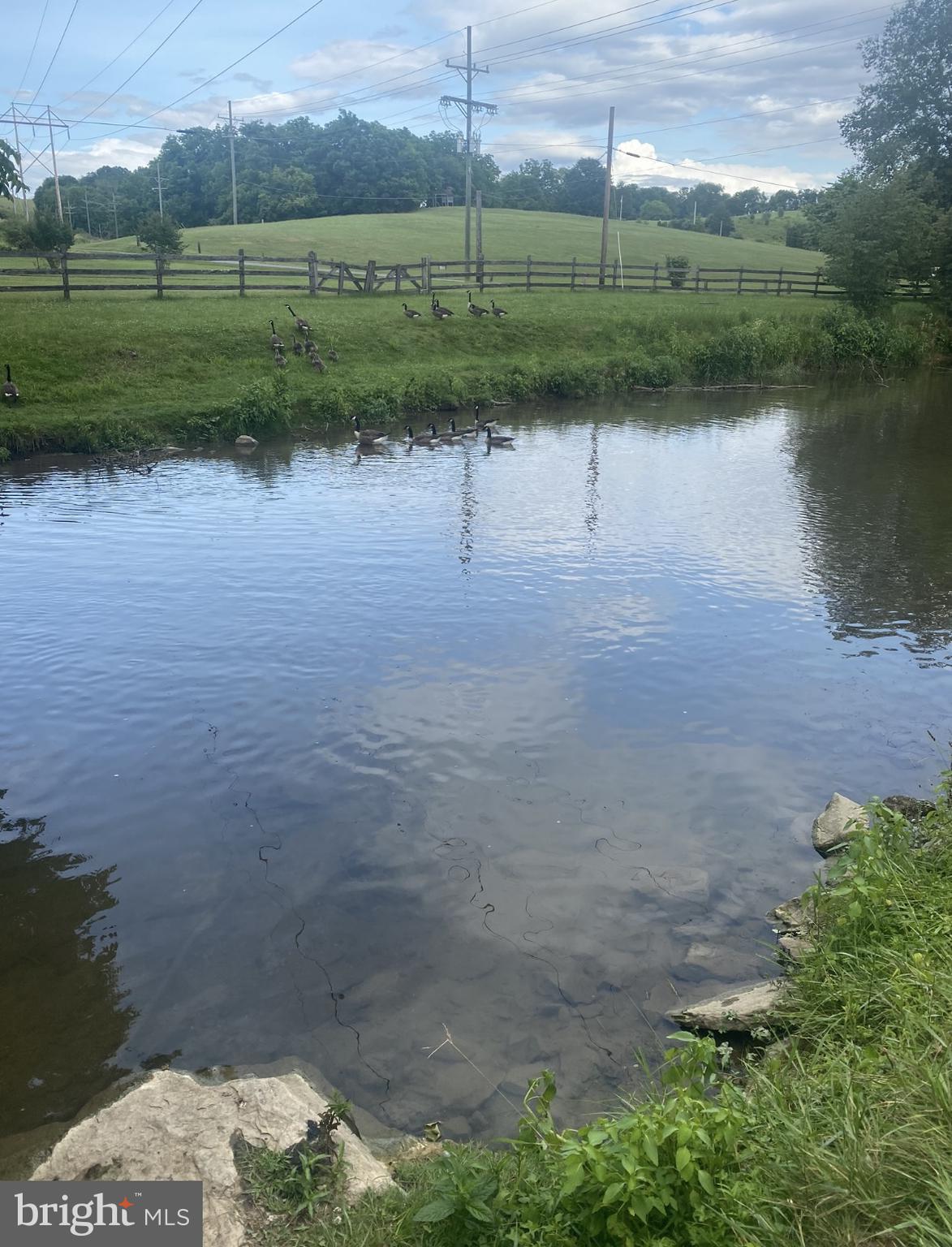 12898 Cold Springs Road Waynesboro, PA 17268 - Photo 65 of 88 Check out the geese!