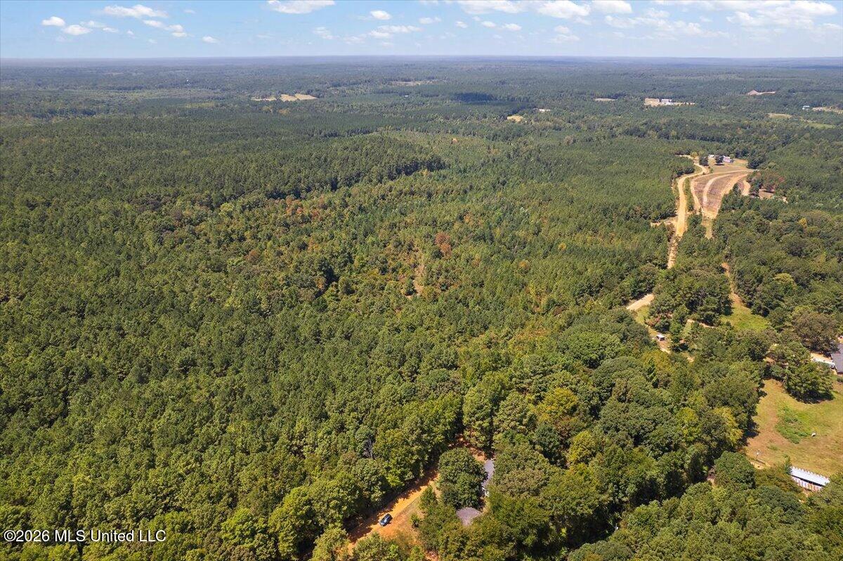 177 County Road Carthage, MS 39051 - Photo 8 of 9 1416