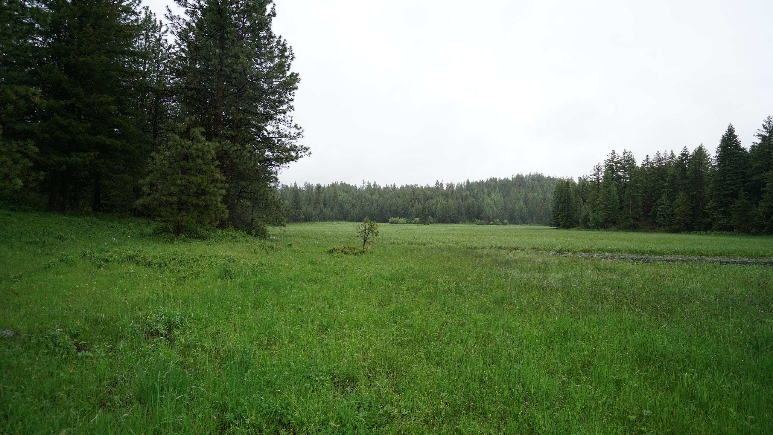 214 Forest Road Bates, OR 97817 - Photo 29 of 34 DSC02349