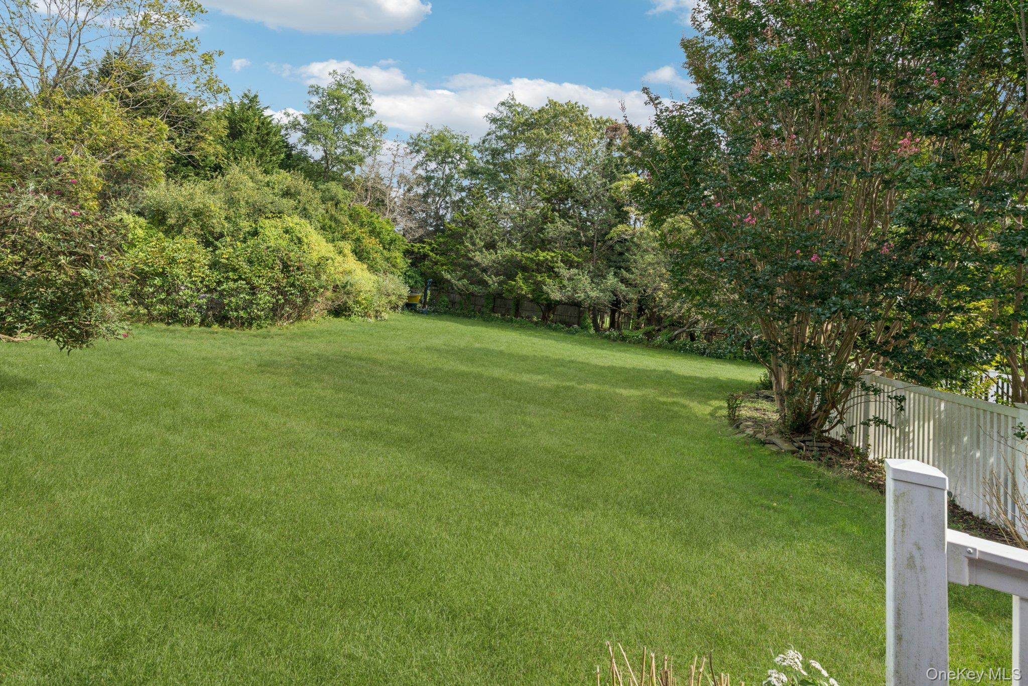 12 Laila Lane Remsenburg, NY 11960 - Photo 40 of 50 a view of a grassy field with trees