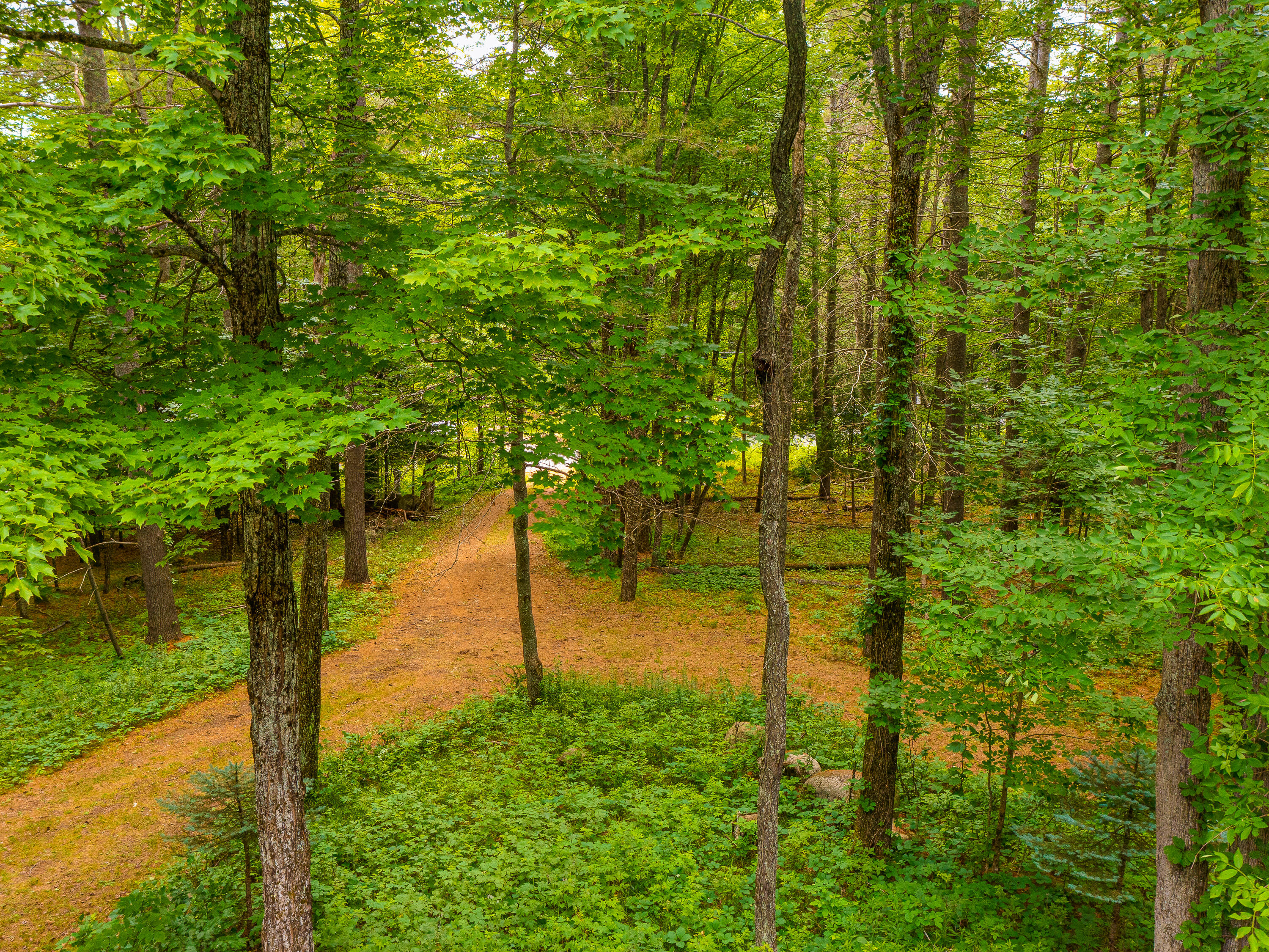 287 Kickerville Road Long Lake, NY 12847 - Photo 13 of 50 Gallery Image 13