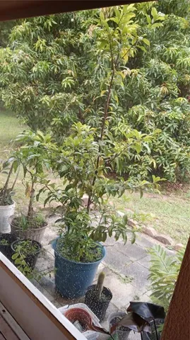 $355,000 | 875 High Pointe Circle, Minneola, FL 34715