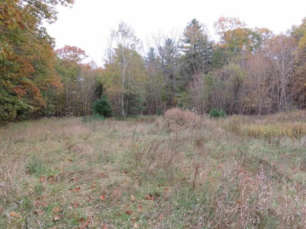253 Choate Road Enfield, NH 03748 - Photo 4 of 12