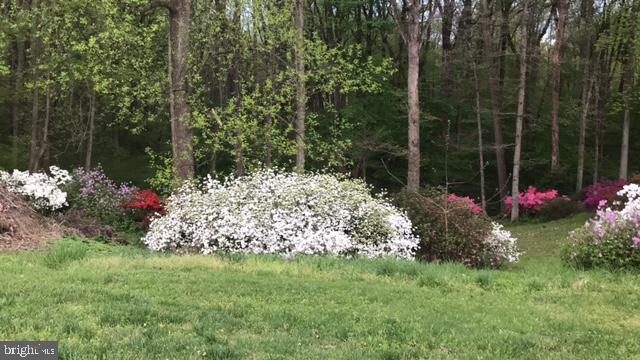 4036 Sykesville Road Finksburg, MD 21048 - Photo 36 of 38 Landscaping /Bushes In Full Bloom