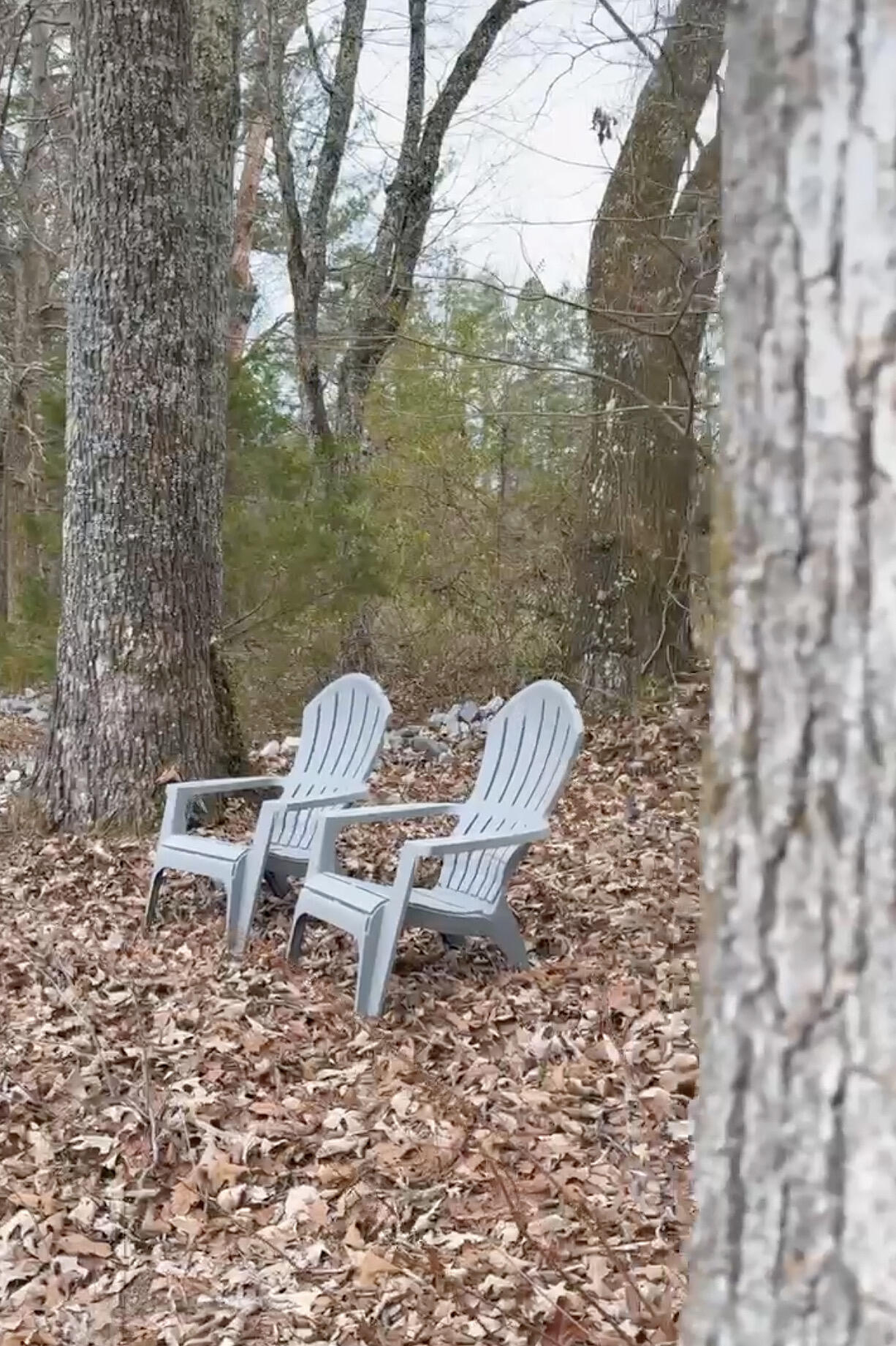 419 Sentry Oaks Chickamauga, GA 30707 - Photo 39 of 42 419 Sentry Oaks