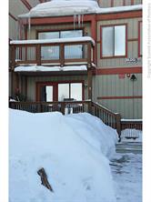 56 Hub Lode Road, Unit 173 Breckenridge, CO 80424 - Photo 2 of 2 Gallery Image 2
