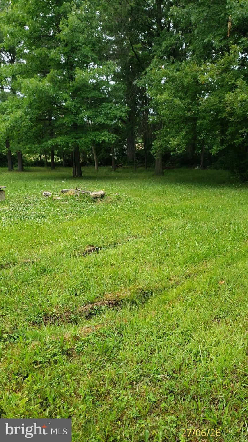 31 Old Mountain Road Bethel, PA 19507 - Photo 11 of 21 Trees for privacy