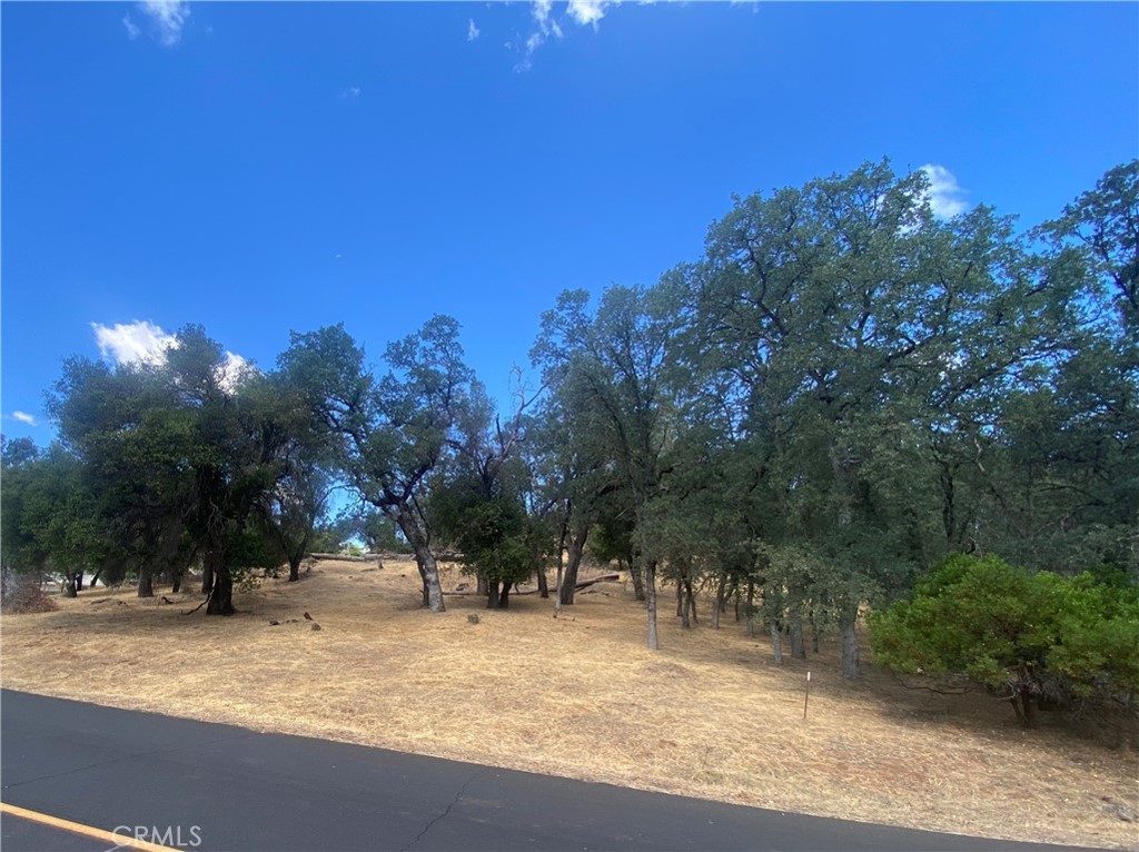 20393 Powder Horn Road Hidden Valley Lake, CA 95467 - Photo 5 of 8 a view of a yard with a tree