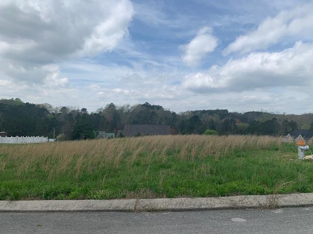 Lot 39 Oak Meadows 6